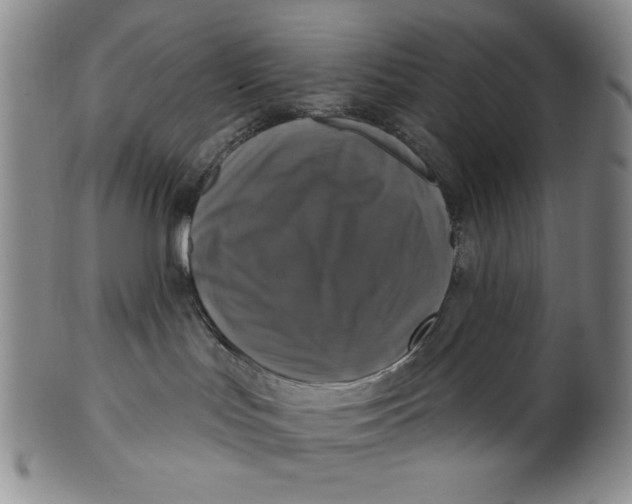 X0000101970047200808081600