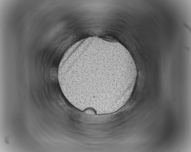 X0000101970048200808081600