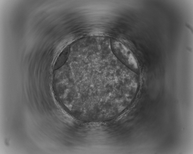 X0000101970049200808081600