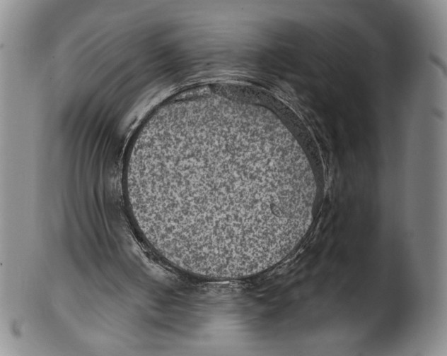 X0000101970050200808081600