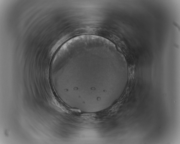 X0000101970051200808081600