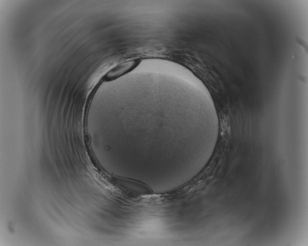 X0000101970052200808081600