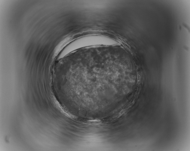 X0000101970053200808081600