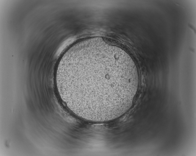 X0000101970054200808081600