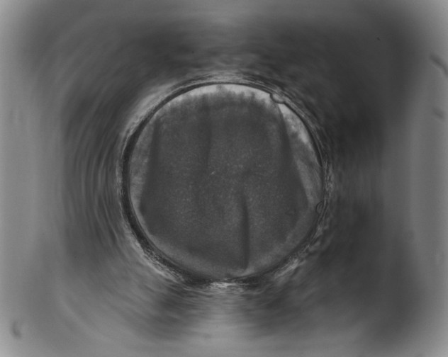 X0000101970055200808081600