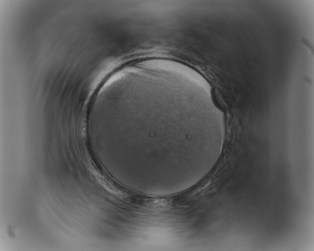 X0000101970056200808081600