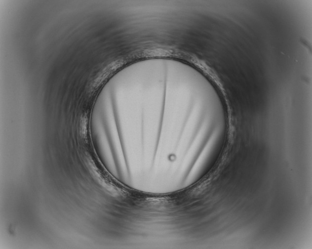X0000101970057200808081600