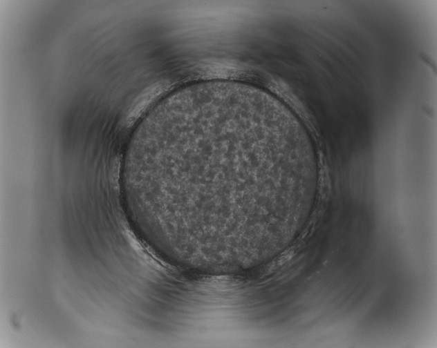 X0000101970058200808081600