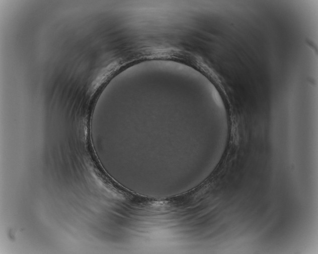 X0000101970059200808081600