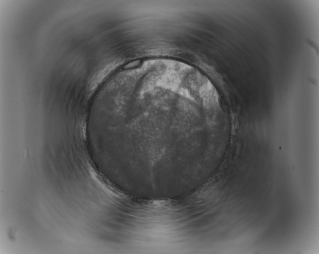 X0000101970060200808081600