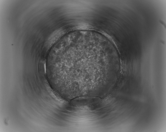 X0000101970061200808081600