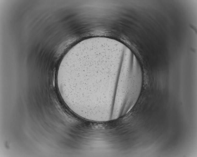 X0000101970062200808081600