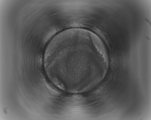 X0000101970063200808081600
