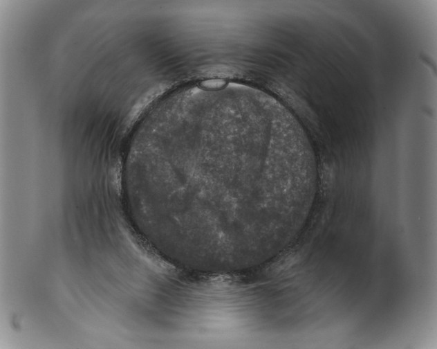 X0000101970064200808081600