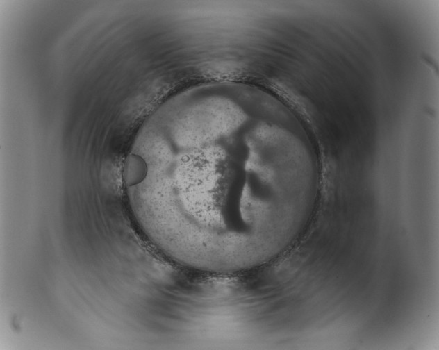 X0000101970065200808081600