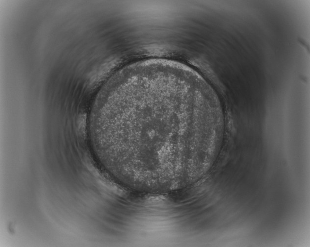 X0000101970066200808081600
