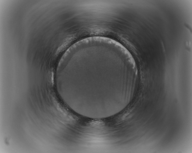 X0000101970067200808081600