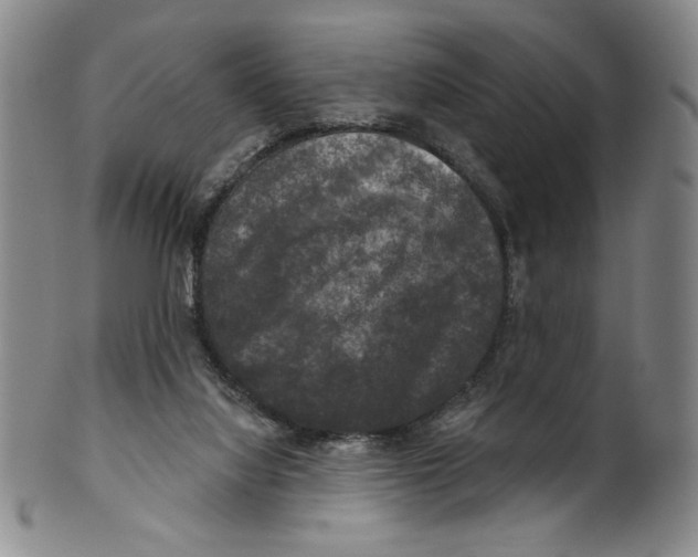 X0000101970068200808081600
