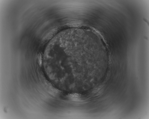 X0000101970069200808081600