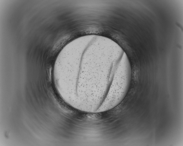 X0000101970070200808081600