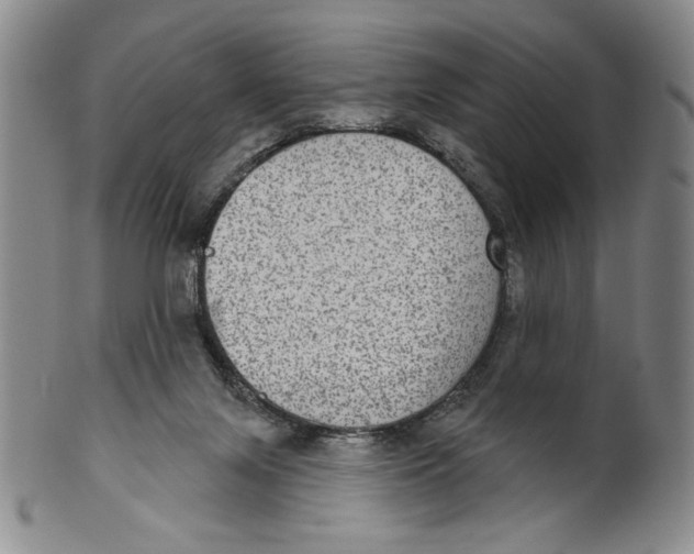 X0000101970071200808081600