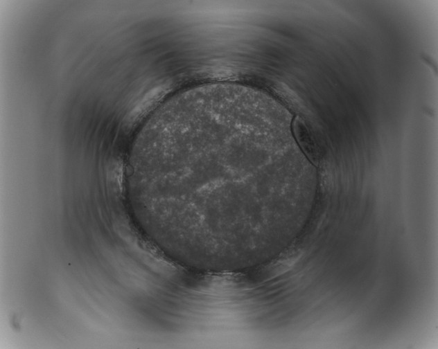 X0000101970072200808081600