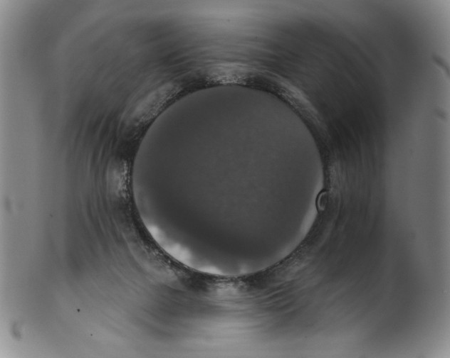 X0000101970073200808081600