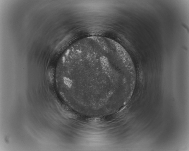 X0000101970074200808081600