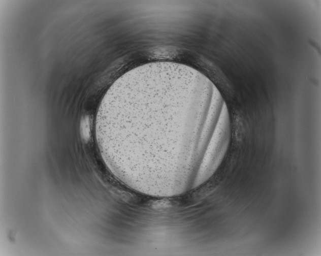 X0000101970075200808081600