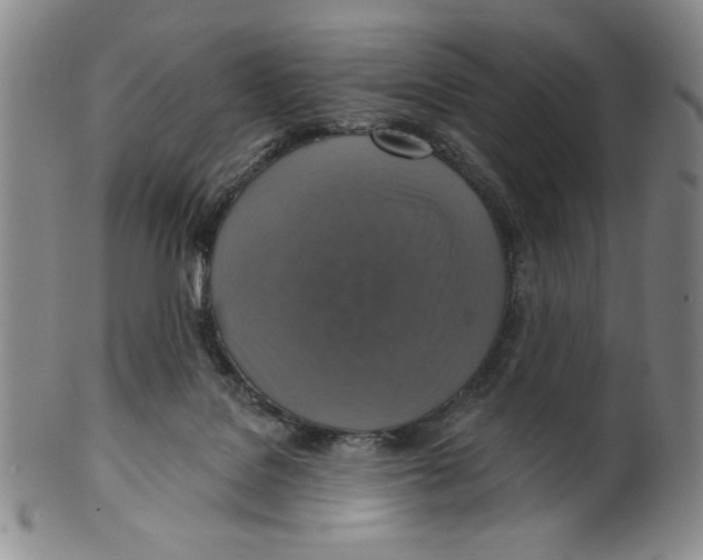 X0000101970076200808081600
