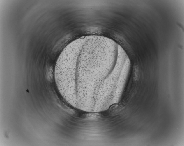 X0000101970077200808081600