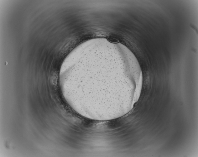 X0000101970078200808081600