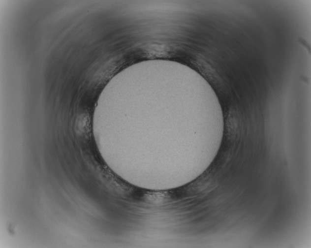 X0000101970079200808081600