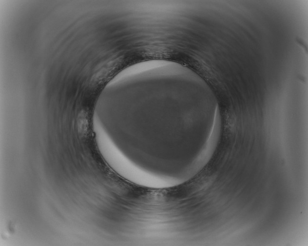X0000101970080200808081600