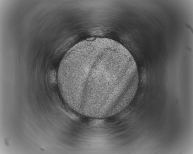 X0000101970081200808081600
