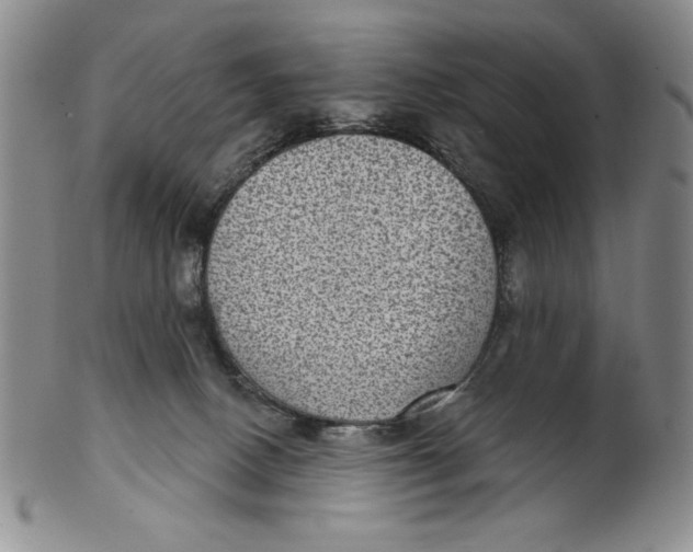 X0000101970082200808081600
