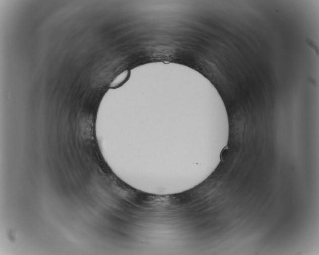 X0000101970083200808081600