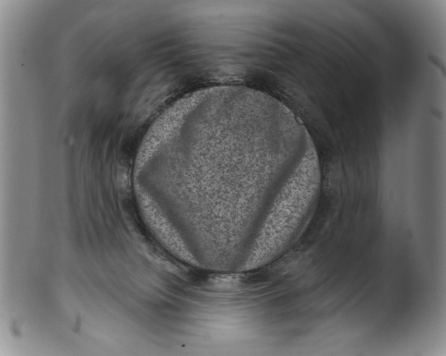 X0000101970084200808081600
