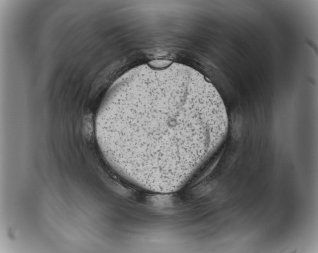 X0000101970085200808081600