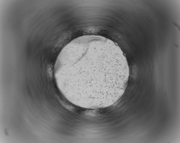 X0000101970086200808081600