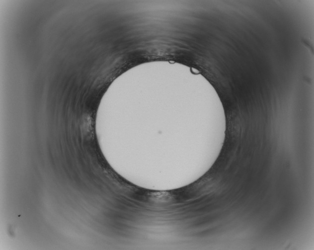 X0000101970087200808081600