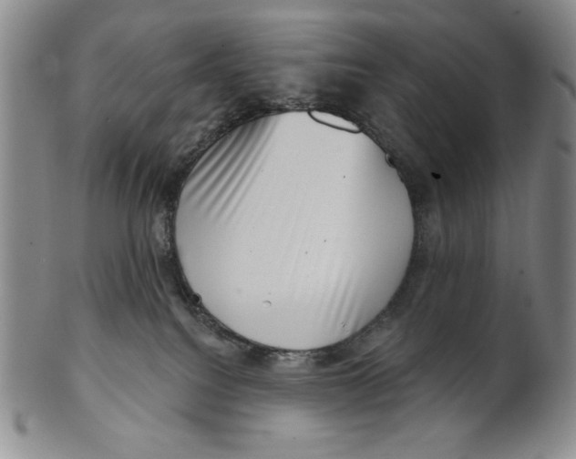X0000101970088200808081600