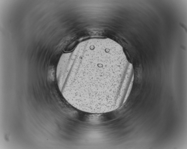 X0000101970090200808081600