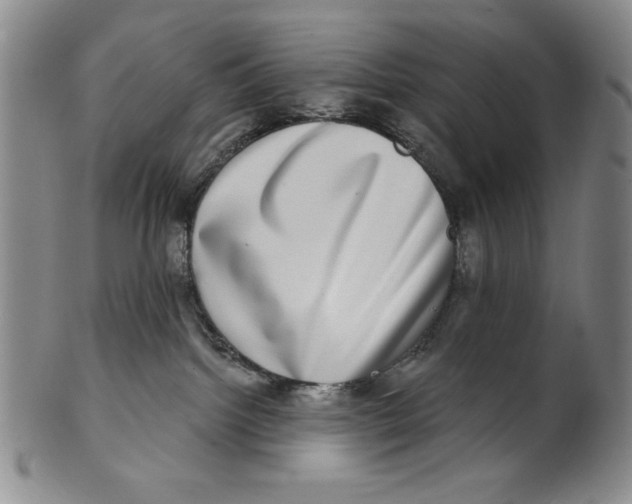 X0000101970092200808081600