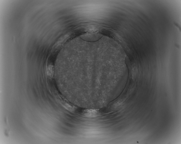 X0000101970093200808081600