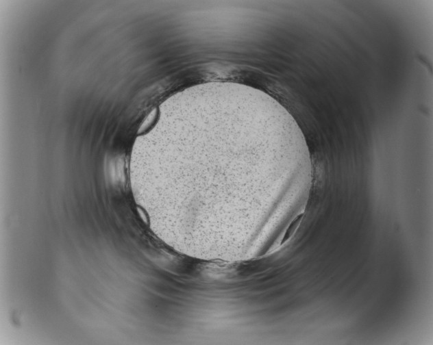 X0000101970094200808081600