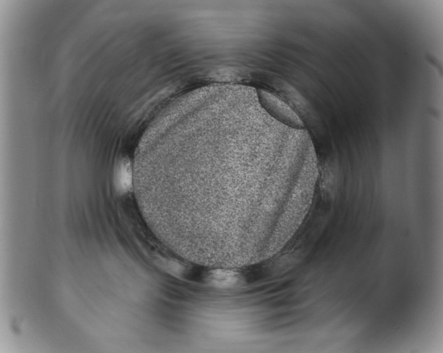 X0000101970095200808081600