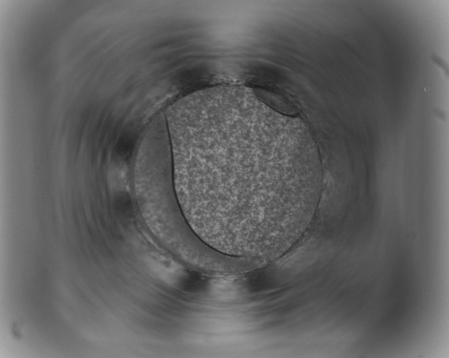 X0000101970096200808081600