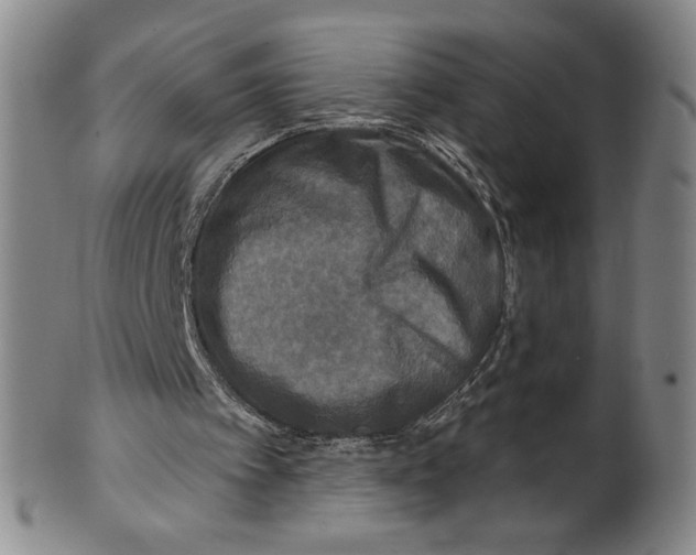 X0000101970097200808081600