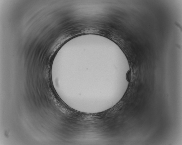 X0000101970098200808081600
